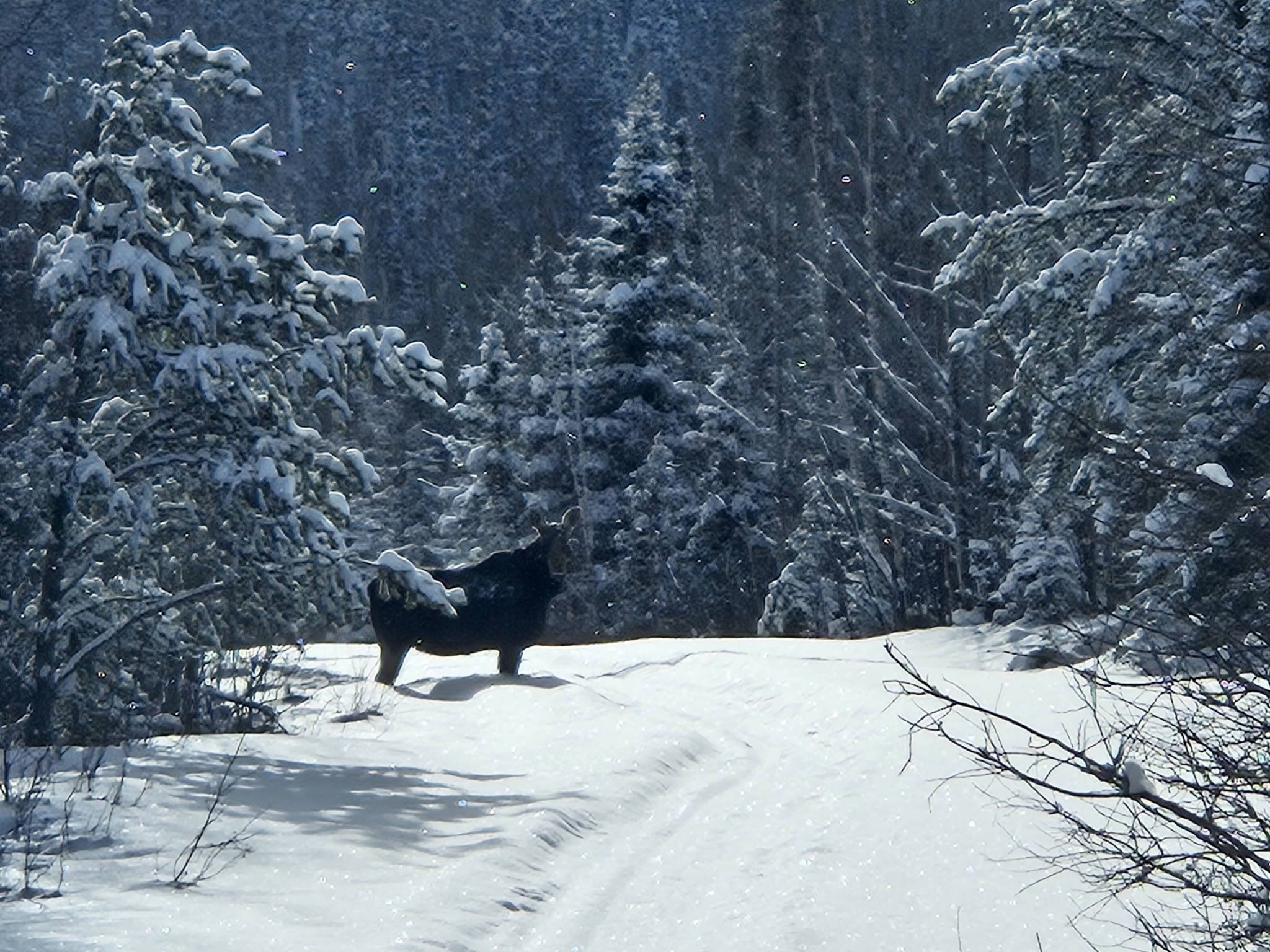 Pourvoirie Club Lac des Baies 1