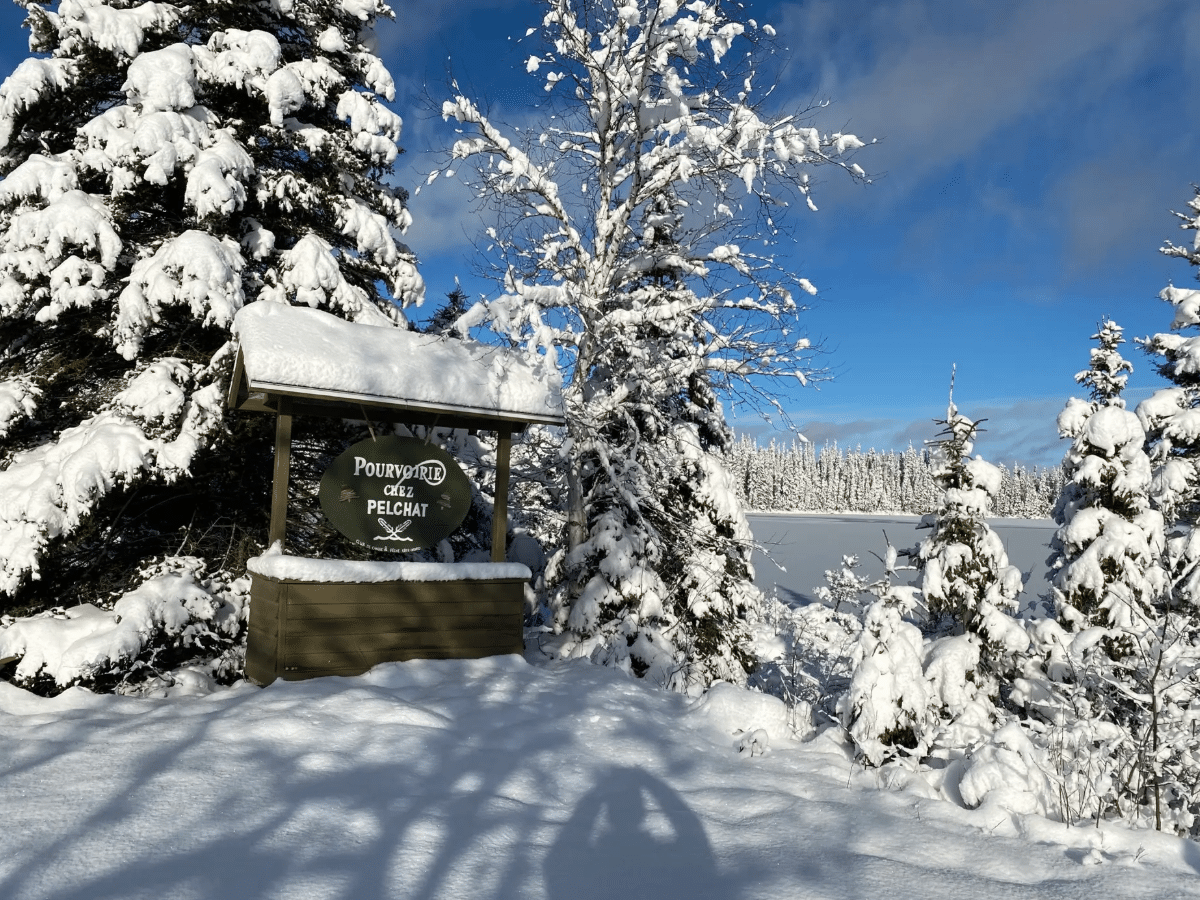 Sentiers des bois 1200x900 (5)